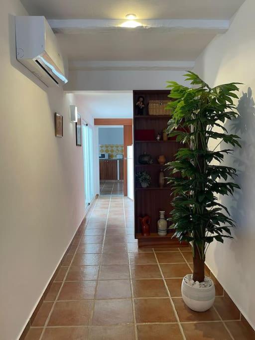 Casa Da Oliveira Villa มอโรง ภายนอก รูปภาพ